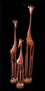 Giraffestn.jpg