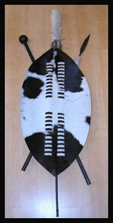 ZuluShield2tn.jpg