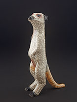 rakumediummeerkat0704.th.jpg