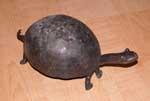 bronzeturtle.th.jpg