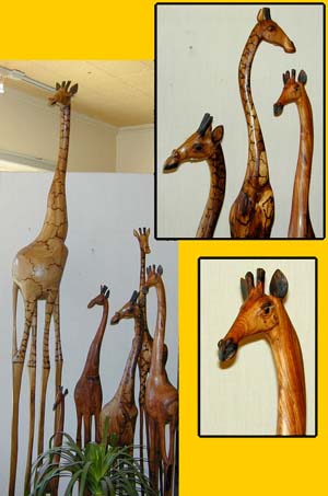 giraffes.th.jpg