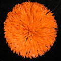 FeatherHeaddresstn.jpg