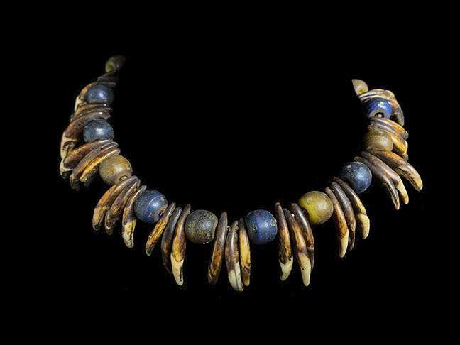 Antique necklace of animal teeth and old European glass trade beads, 1800s - Lega People, D.R.Congo