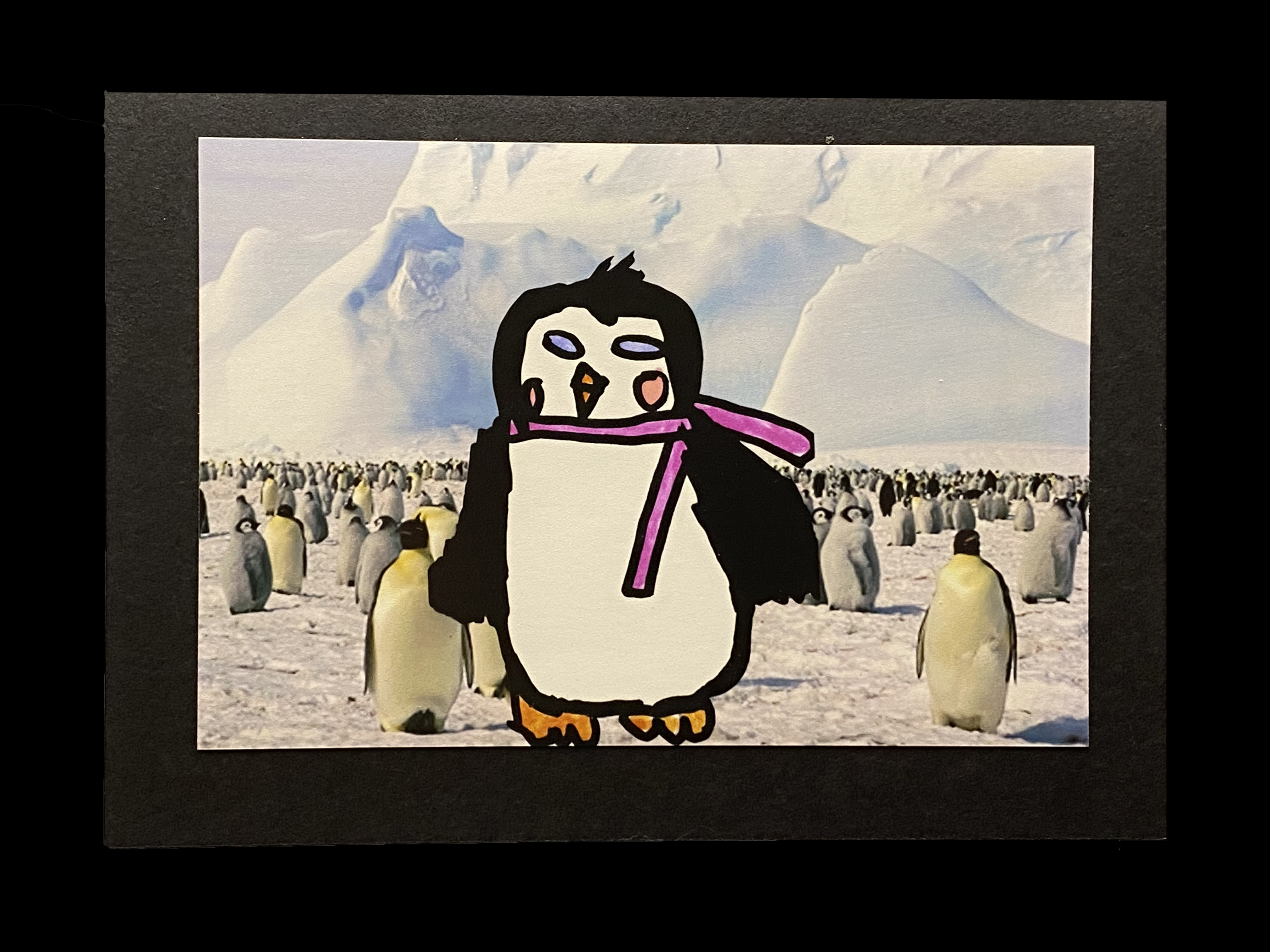 Penguin Card by Amy