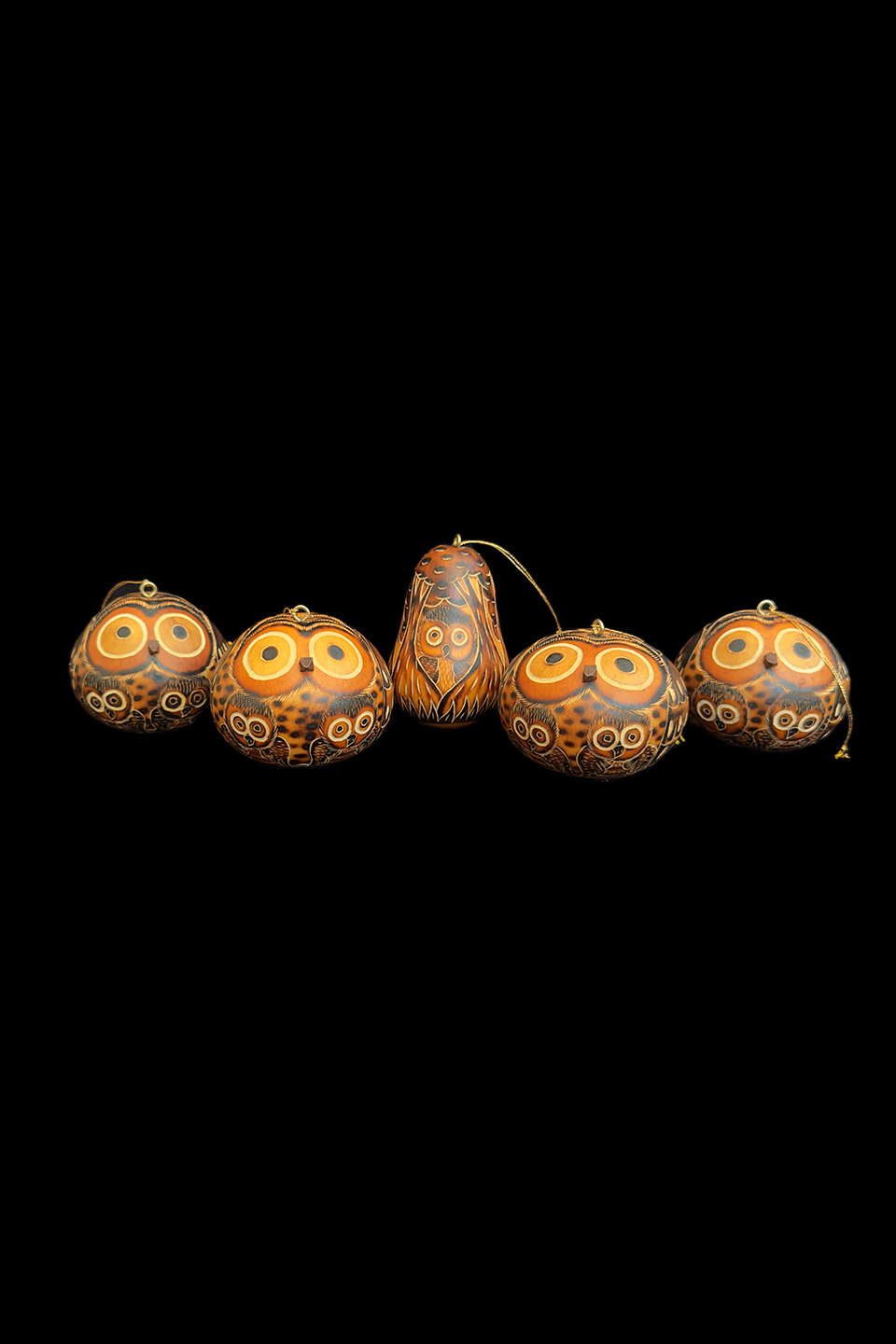 Set of 5 Owl Gourd Ornaments