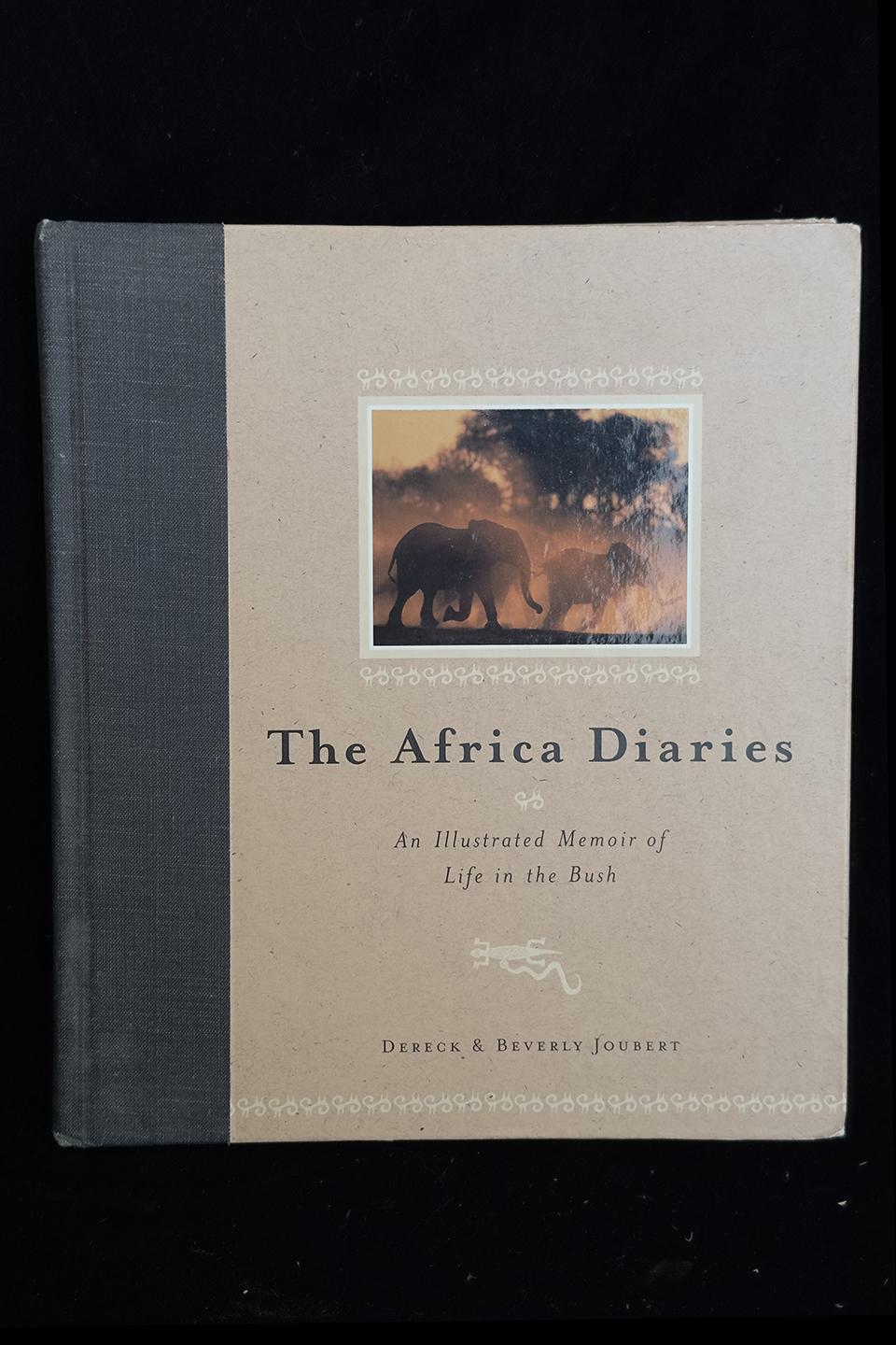 The Africa Diaries: An Illustrated Memoir of Life in the Bush -  by Dereck Joubert (Author), Beverly Joubert (Photographer)