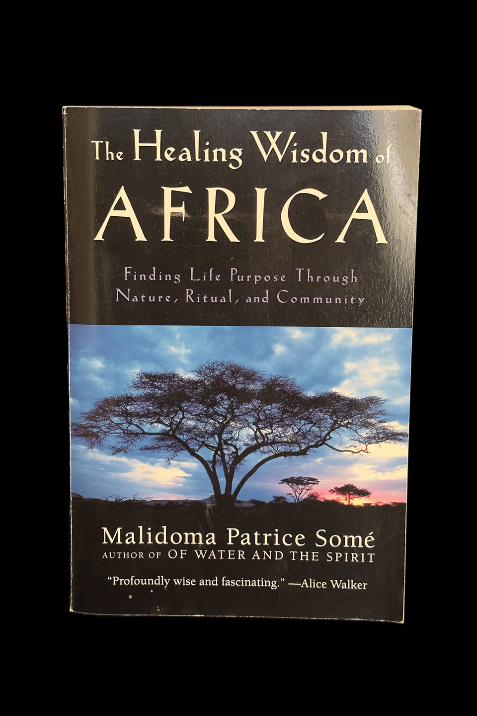 The Healing Wisdom of Africa: Finding Life Purpose Through Nature, Ritual, and Community -  by Malidoma Patrice Some 