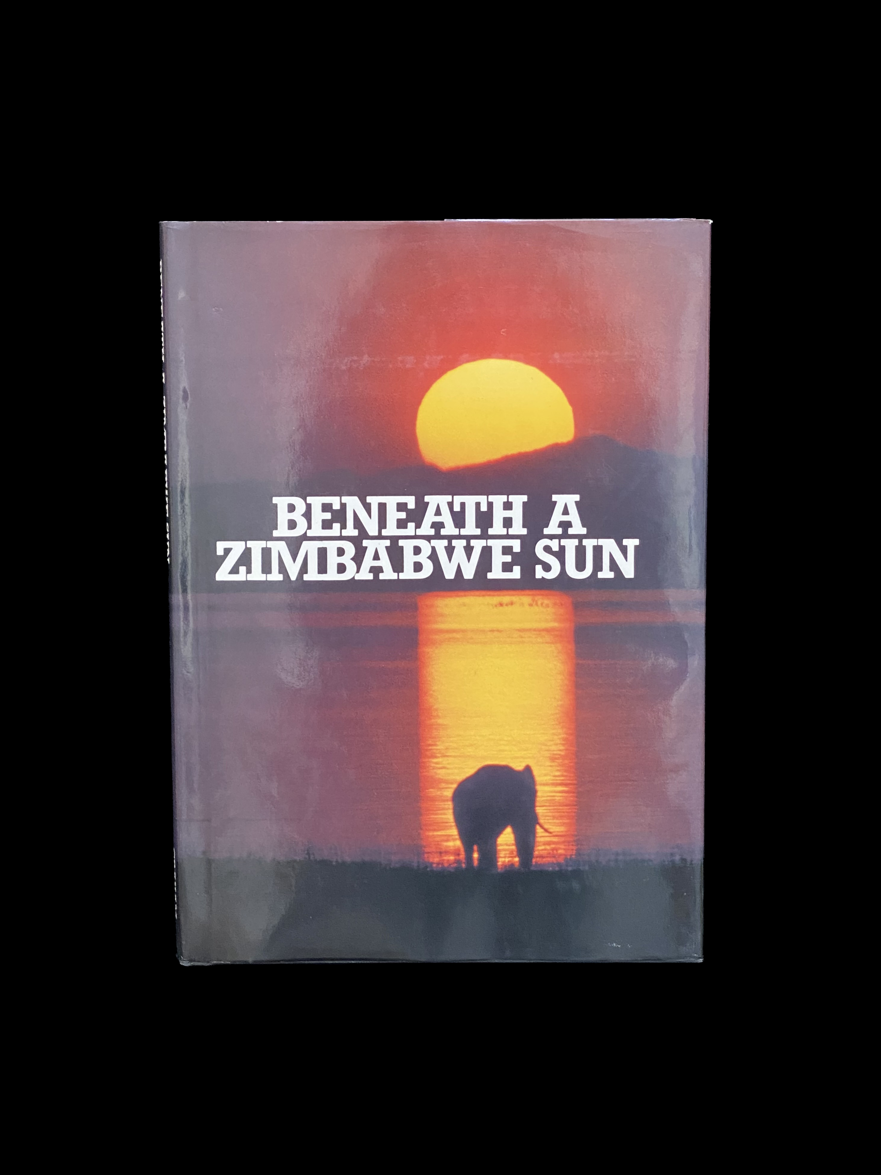 Beneath a Zimbabwe sun Hardcover  by Beverley Whyte 
