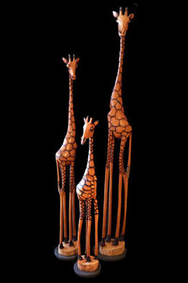GiraffesR.fv