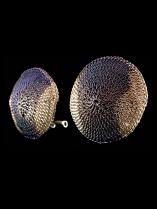 Woven Circular Clip Earrings (64POL) 2