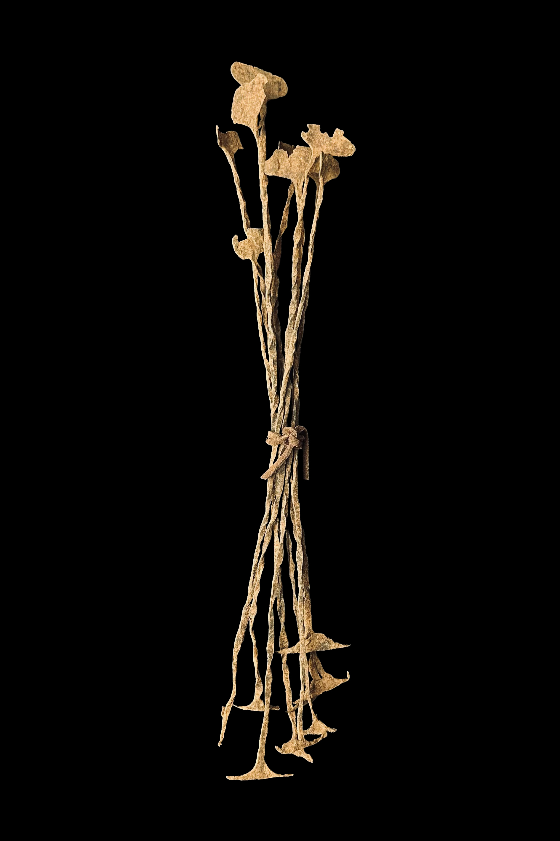 Bundle of 9 Kissi Pennies - Poro Societies, West Africa