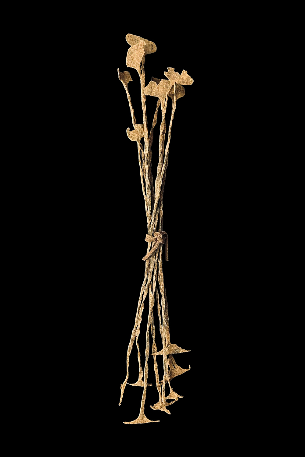 KissiBundleOf9-30IMG_7535th