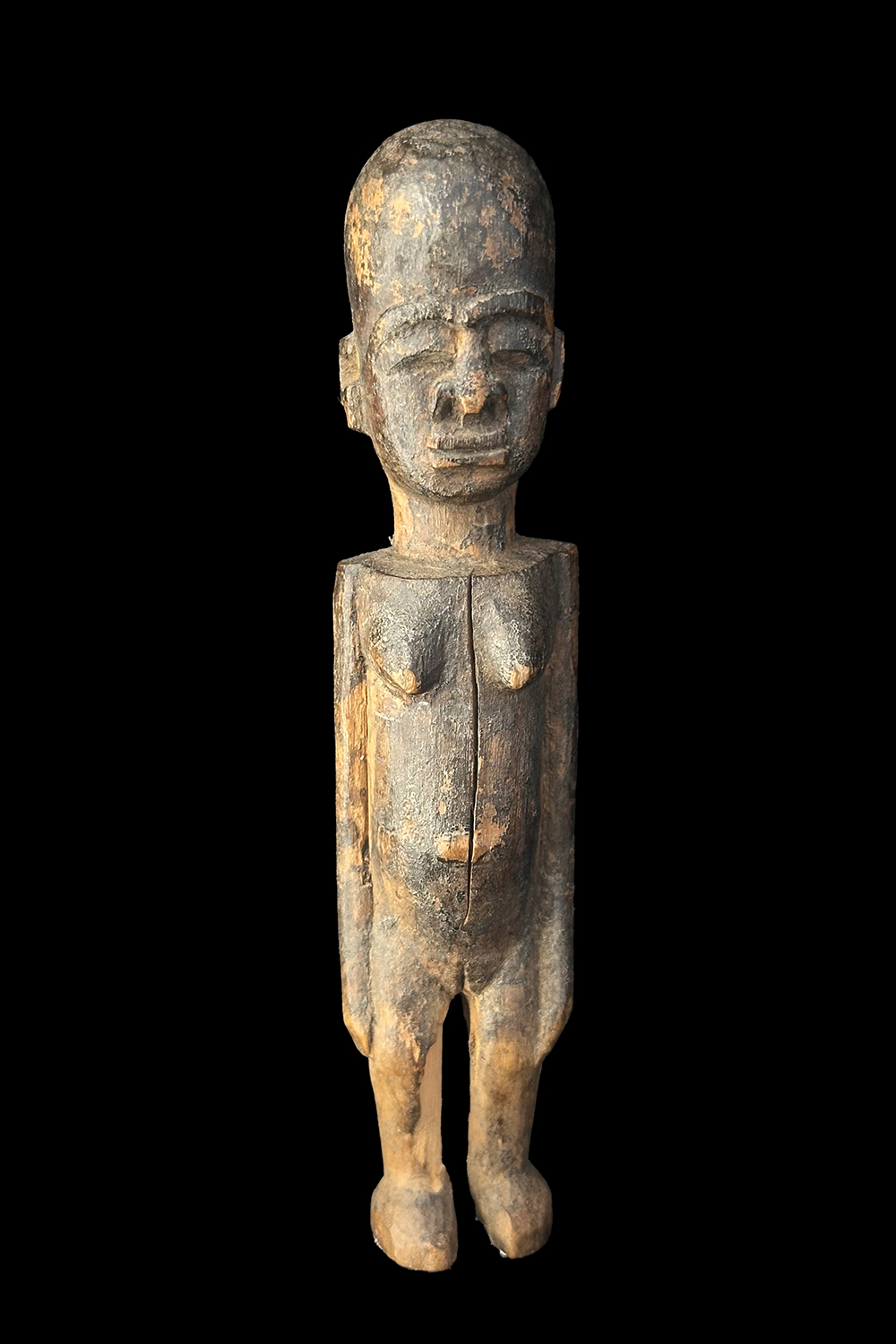 LobiFigure30IMG_3549th