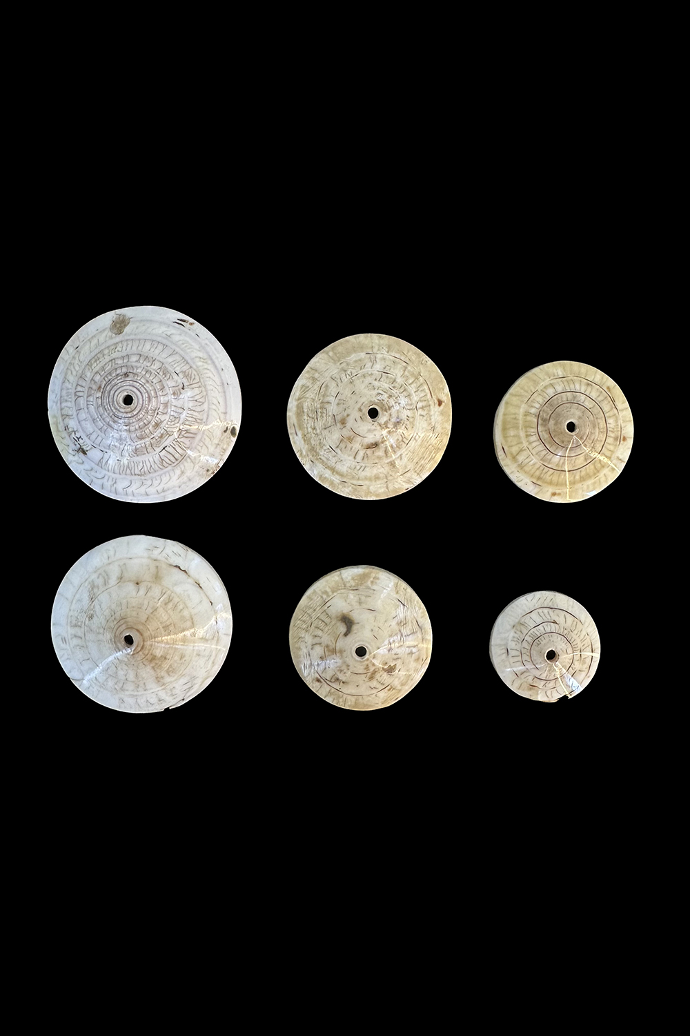 PNGshellsSetOf6-30IMG_2520th