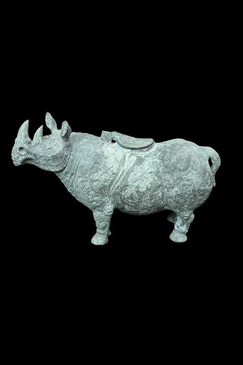 Rhino30IMG_2125th