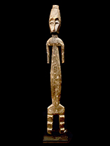 SpottedLengolaFigure.th