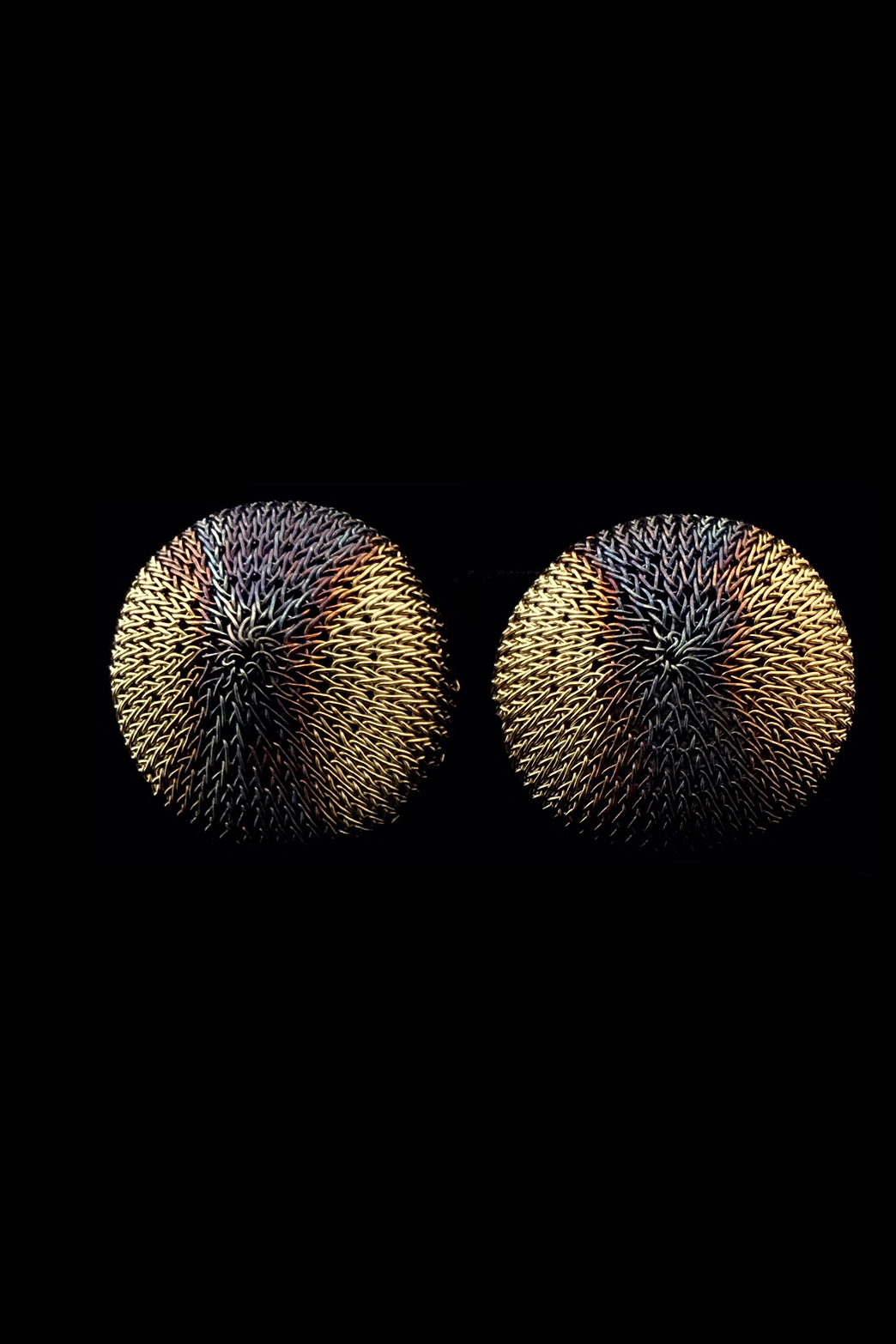 Zu.Ear.63GBL.FVR