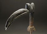 Hornbillth.jpg