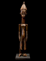 KulangoFigure.th