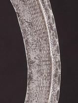 Sickle Knife - Ngombe People - D.R. Congo (LS125) -Sold 1