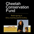 Archives > Cheetah Conservation Fund