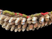 Cowrie Shell and Beaded Belt - Kuba People, D.R. Congo - Sold 3