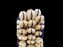 Cowrie Shell and Beaded Belt - Kuba People, D.R. Congo - Sold 11