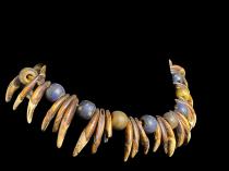 Antique necklace of animal teeth and old European glass trade beads, 1800s - Lega People, D.R.Congo 2