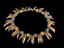 Antique necklace of animal teeth and old European glass trade beads, 1800s - Lega People, D.R.Congo 3