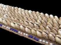 Pair of Cowrie Shell Anklets - Kuba People,  D.R. Congo 9