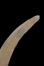 Wooden Handled Knife - Ngombe, Doko, Ngbandi People, northern D.R. Congo 5