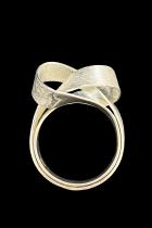 Brushed Infinity Sterling Silver Ring 2