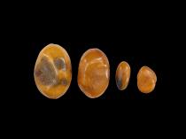 Set of 4 Baltic Amber Pieces 3