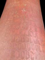 Copper Vase 4