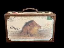 Lion Case