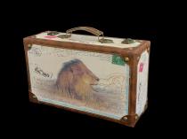 Lion Case 1