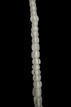 Glass Venetian Gooseberry Beads early 19th c (strand b)  2