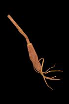 Leather Case with Tweezers - Beni-Amer People, (Beja sub group), Ethiopia/Sudan/Eritrea  1