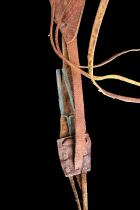 Leather Case with Tweezers - Beni-Amer People, (Beja sub group), Ethiopia/Sudan/Eritrea  3