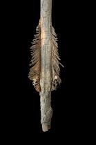 Group Of 3 Arrows - D.R. Congo 2