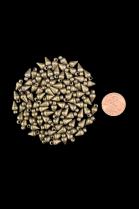 Antique Brass Pointed/Spike Beads - India 1