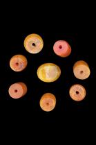 8 Phenolic Amber Beads