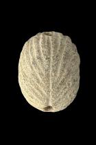 Collection of 21 Old Clay Spindle Whorl Beads - West Africa 2