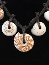 Conus Shell Necklace, PNG - Sold 2