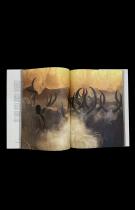 Dinka: Legendary Cattle Keepers of Sudan (Collectors Limited Edition) - by Angela Fisher, Carol Beckwith 4