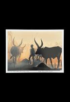 Dinka: Legendary Cattle Keepers of Sudan (Collectors Limited Edition) - by Angela Fisher, Carol Beckwith 6