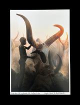 Dinka: Legendary Cattle Keepers of Sudan (Collectors Limited Edition) - by Angela Fisher, Carol Beckwith 8