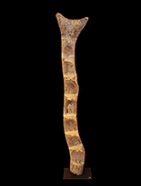 DogonLadder1thumnail
