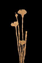 Bundle of 5 Kissi Pennies - Poro Societies, West Africa 2