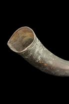 Kudu Horn Trumpet (Vuvuzela) - Zulu People, South Africa 2